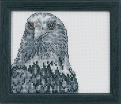 Eagle / 144134 WI
