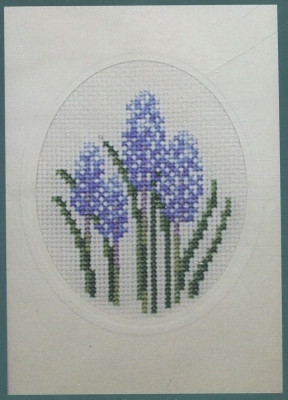 Floral w/Card-Hydrangia / 178339 WI