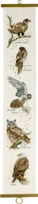 Raptors / 358130 WI
