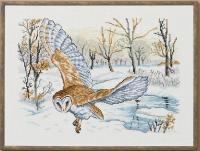 Barn Owl / 701304 WI
