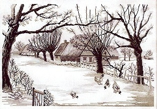 Fowl Run / 703128 WI