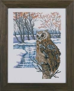 Horned Owl / 709317 WI