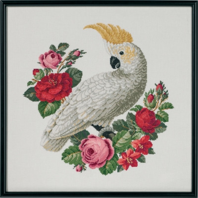Cockatoo / 709587 WI