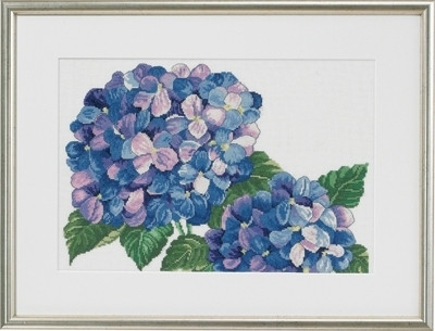 Hydrangeas / 904109 WI