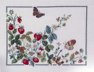 Butterfly and Strawberries / 923342 WI