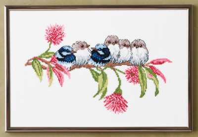 Blue Wren / 923439 WI