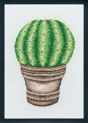 Gold Cactus / 927444 WI