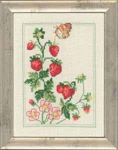 Strawberry / 929169 WI