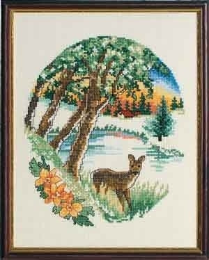 Fawn in Forest / 929594 WI
