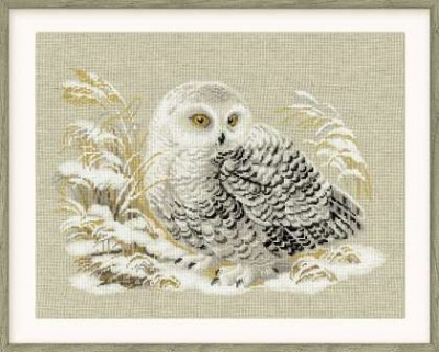 White Owl / RL1241