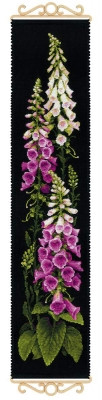 Foxgloves / RL1629