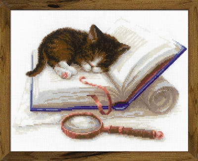 Kitten on the Book / RL1725
