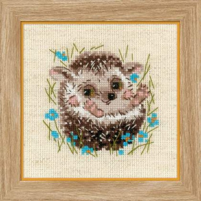 Little Hedgehog / RL1753