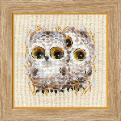 Little Owls / RL1755