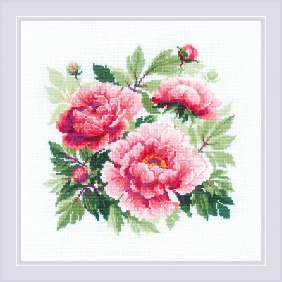 Tree Peony / RL1854