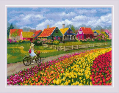 Tulip Field / RL2148