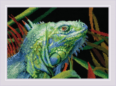 Iguana / RL2192