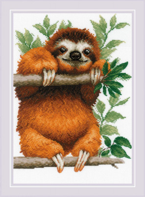 Sloth / RL2213