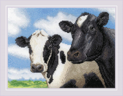 Cows / RL2237