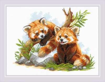 Red Panda Cubs / RL2257