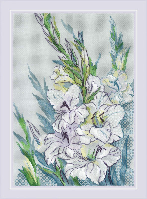 White Gladioli / RL2297