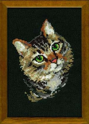 Grey Cat / RL766
