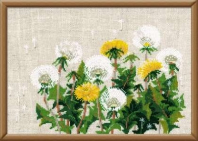 Dandelions / RL807