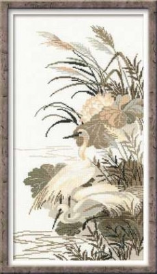 Herons / RL928