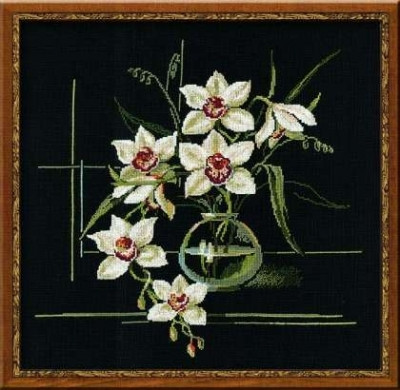 White Orchid / RL941