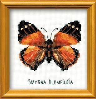 Nymphalidae Butterfly / RLHB94