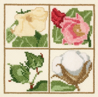 Cotton - Bloom to Boll / PC1370