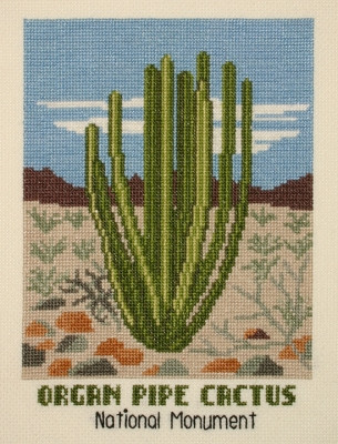 Organ Pipe Cactus / PC1686
