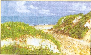 Seascape / GOK1052