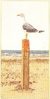 Seagull Lookout / GOK1062