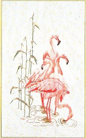 Feeding Flamingos / GOK1070A