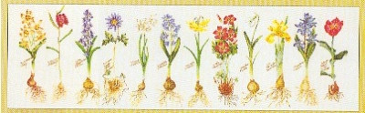 Flowers And All / GOK1087