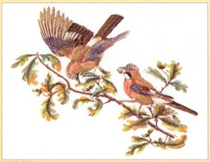 Birds On Branch / GOK2022