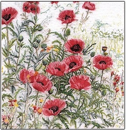 Pink Poppies / GOK2061A
