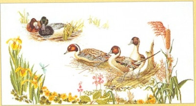 Ducks In The Marsh / GOK2064
