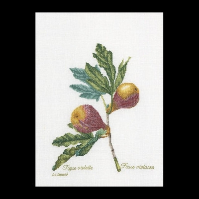 Figs / GOK2087A