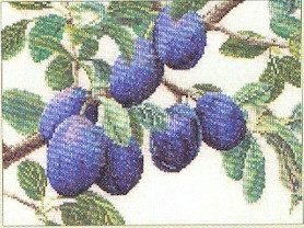 Branch Of Plums / GOK3015