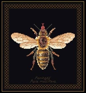 Bee / GOK3017B