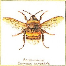 Bee / GOK3018