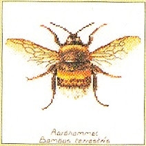 Bee / GOK3018A