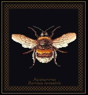 Bee / GOK3018B