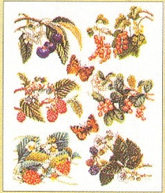 Fruit - 6 Designs / GOK3021