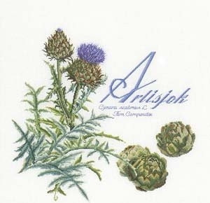 Artichoke / GOK3048A