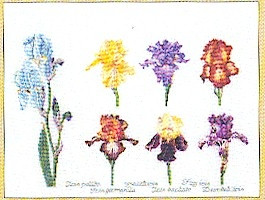 Iris Assortment / GOK3051