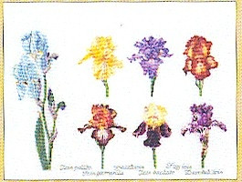 Iris Assortment / GOK3051A