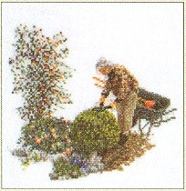 Gardening / GOK3053